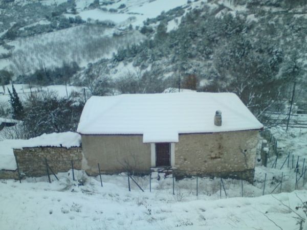Το σπίτι της άτυχης γριούλας - ΦΩΤΟ από lamiareport.gr