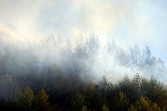 Έπιασαν 43χρονο για εμπρησμό για τις τέσσερις φωτιές στη Δυτική Ελλάδα