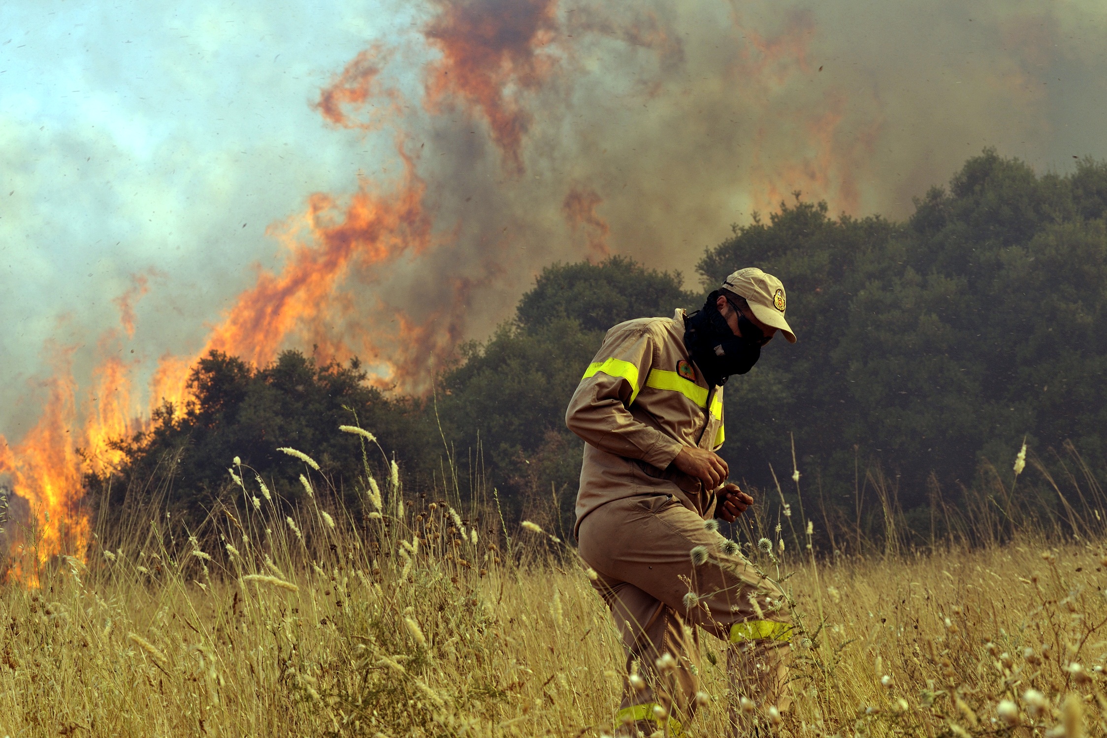 Οι φλόγες ''καταπίνουν'' τα πάντα στο πέρασμά τους - ΦΩΤΟ EUROKINISSI