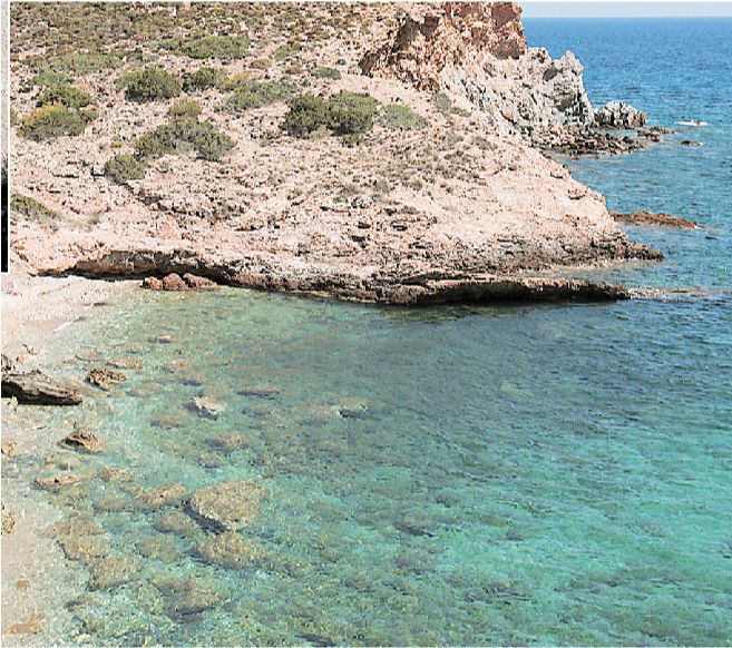 ΠΑΡΑΛΙΑ
"ΚΑΠΕ"- ΦΩΤΟ ΕΦΗΜΕΡΙΔΑ ΤΟ ΒΗΜΑ