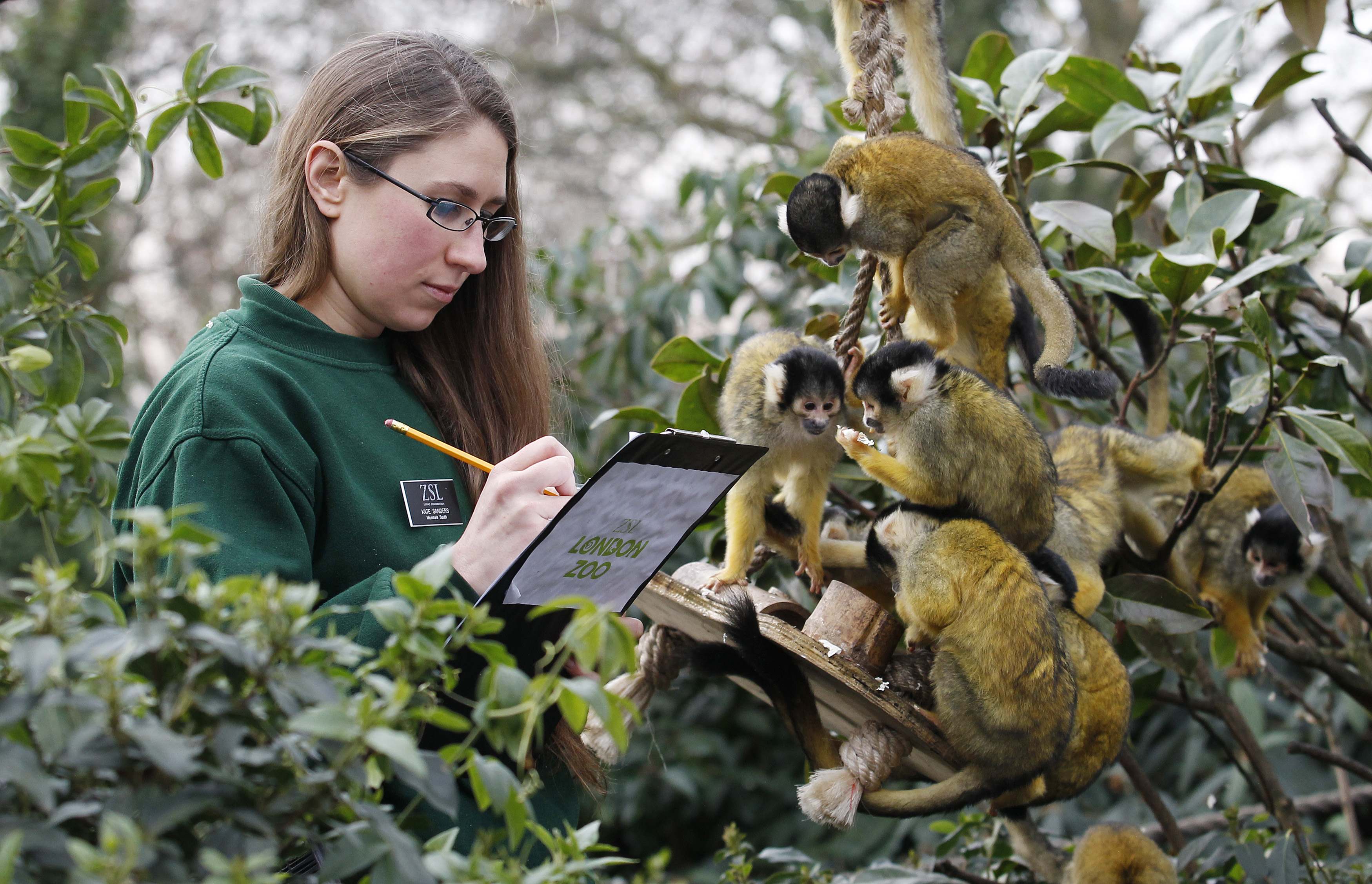 Και επτά μαϊμουδάκια - ΦΩΤΟ REUTERS