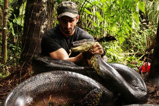 Δείτε τι έγινε όταν το ανακόντα άρχισε να καταπίνει τον Paul Rosolie