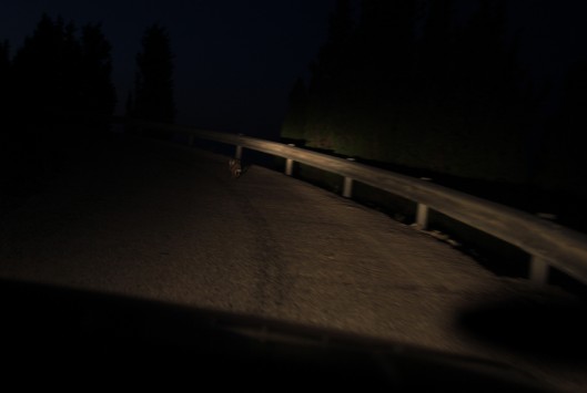 Εύβοια: Θάνατος σε σκοτεινό δρομάκι - Τον πάτησε με το αυτοκίνητο που οδηγούσε!