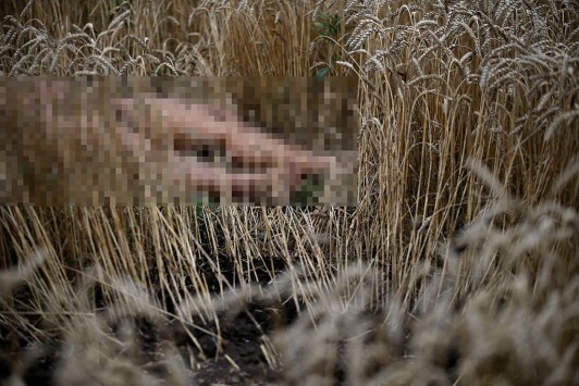 Ντοκουμέντα φρίκης - Φωτογραφίες και video από τον τόπο της συντριβής του Boeing της Malaysia Airlines