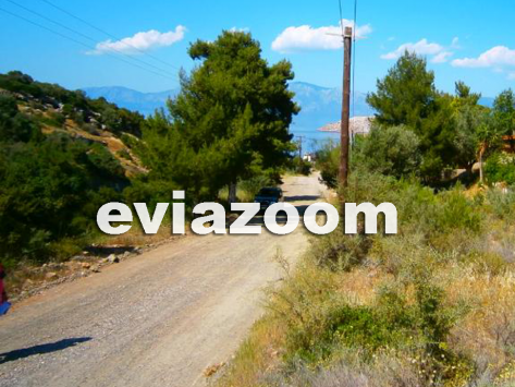 Εύβοια: Χαροπαλεύει στην εντατική νεαρό ζευγάρι - Το περίεργο ατύχημα σε δρόμο της Δροσιάς!