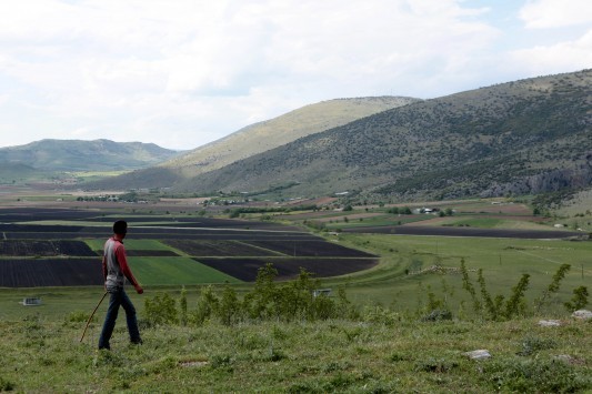 255.600 ευρώ σε αγρότες από τον ΕΛΓΑ για μέτρα προστασίας των καλλιεργειών