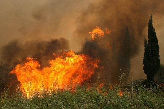 Στον Άρειο Πάγο προτάθηκε η επικύρωση των ποινών για τις φωτιές στην Ηλεία το 2007