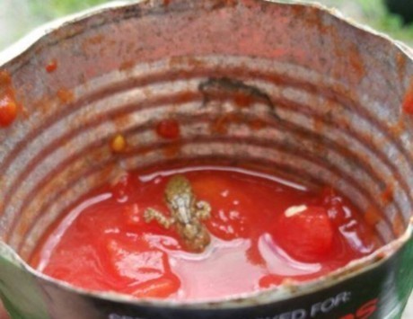 Φρίκη! Βρήκαν σαύρα σε κονσέρβα ντομάτας! (ΦΩΤΟ)