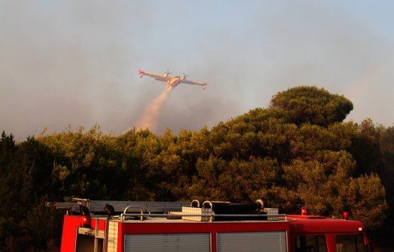 Ηλεία: Φωτιά σε δάσος της περιοχής Δραγώγιο της Ανδρίτσαινας - 30 πυροσβέστες στη μάχη με τις φλόγες!