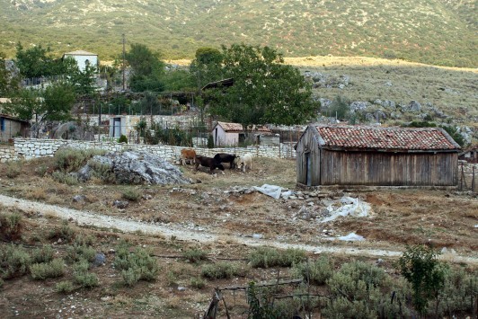 Τρίκαλα: Τον χτύπησαν, τον έγδυσαν και του πήραν μέχρι και τα εσώρουχα!