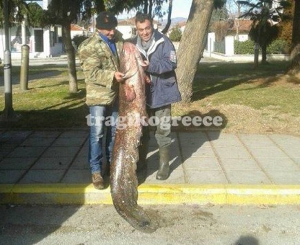 Καστοριά: Το ψάρεμα στη λίμνη έκρυβε μία μεγάλη έκπληξη - Οι φωτό που κάνουν θραύση στο facebook! Καστοριά: Το ψάρεμα στη λίμνη έκρυβε μία μεγάλη έκπληξη - Οι φωτό που κάνουν θραύση στο facebook!