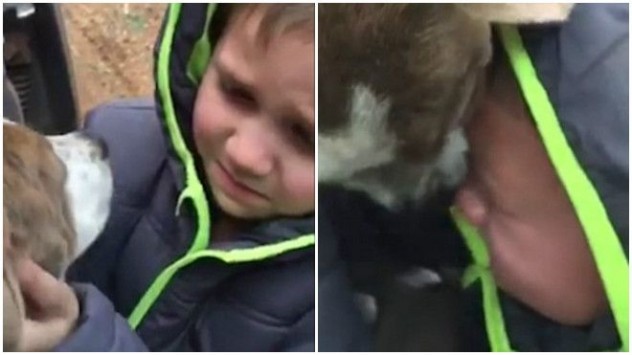 Βίντεο που σε... γονατίζει: Αγοράκι ξεσπά σε λυγμούς όταν αντικρίζει τον σκύλο του που είχε χαθεί