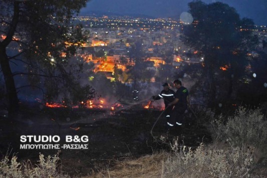 Άργος: Φωτιά ξέσπασε στον Προφήτη Ηλία