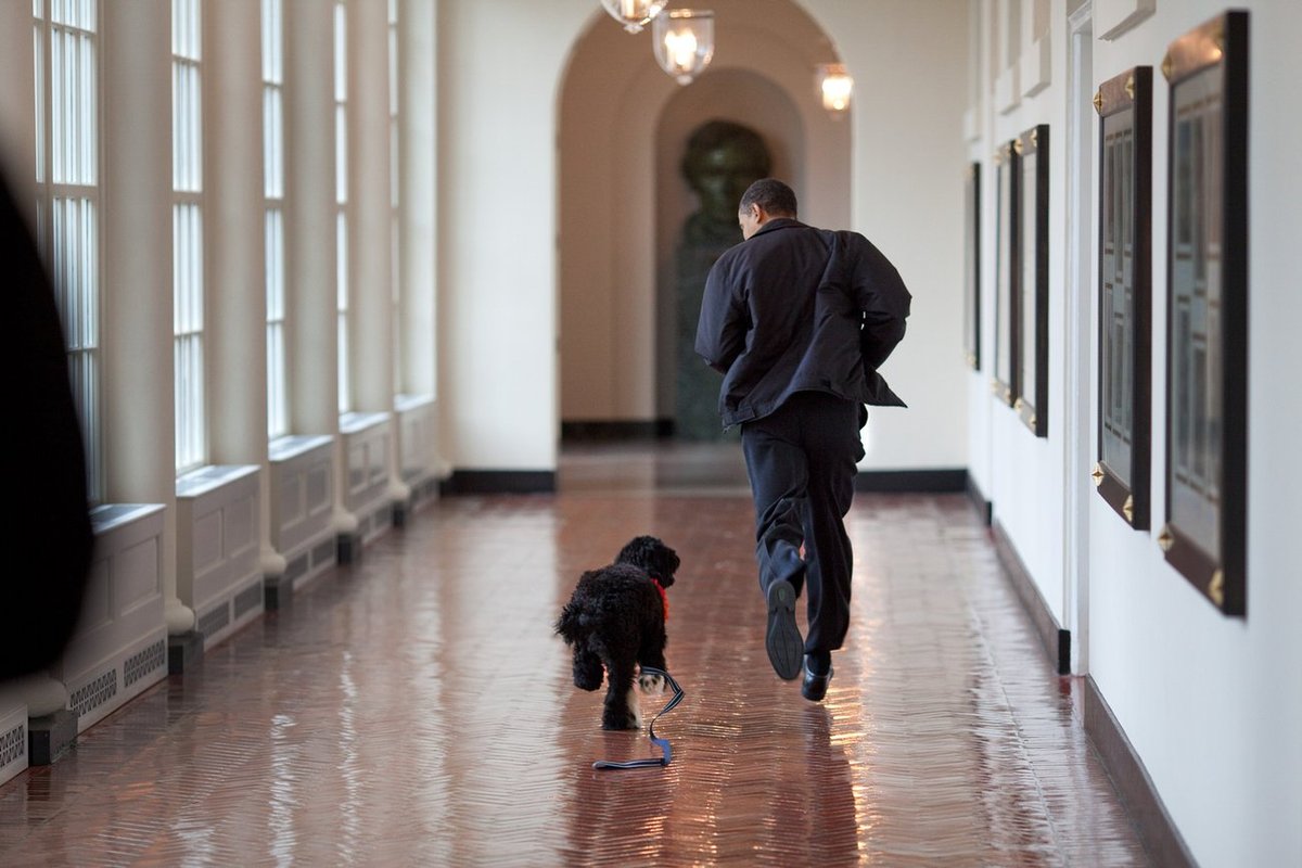 Μάρτιος 2008 - Τρέχοντας στους διαδρόμους του Λευκού Οίκου με τον σκύλο της οικογένειας, Bo