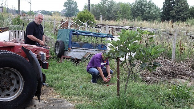 Tι προβλέπει ο νόμος για την περίπτωση του 14χρονου που σκότωσε τον φίλο του Tι προβλέπει ο νόμος για την περίπτωση του 14χρονου που σκότωσε τον φίλο του