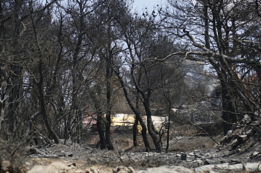 Φωτιά στα Δερβενοχώρια: Μαίνεται σε δύο μεγάλα μέτωπα - `Πέφτει` ο αέρας