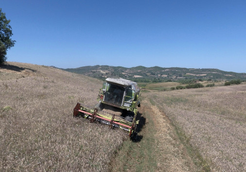 Μπόνους 100.000 ευρώ σε όσους κάνουν μικρούς συνεταιρισμούς – Ποιοι και πώς μπορούν να πάρουν χρήματα