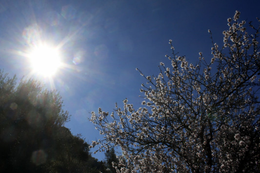 Καιρός: Κυριακή για βόλτα! Ψηλά η θερμοκρασία Καιρός: Κυριακή για βόλτα! Ψηλά η θερμοκρασία