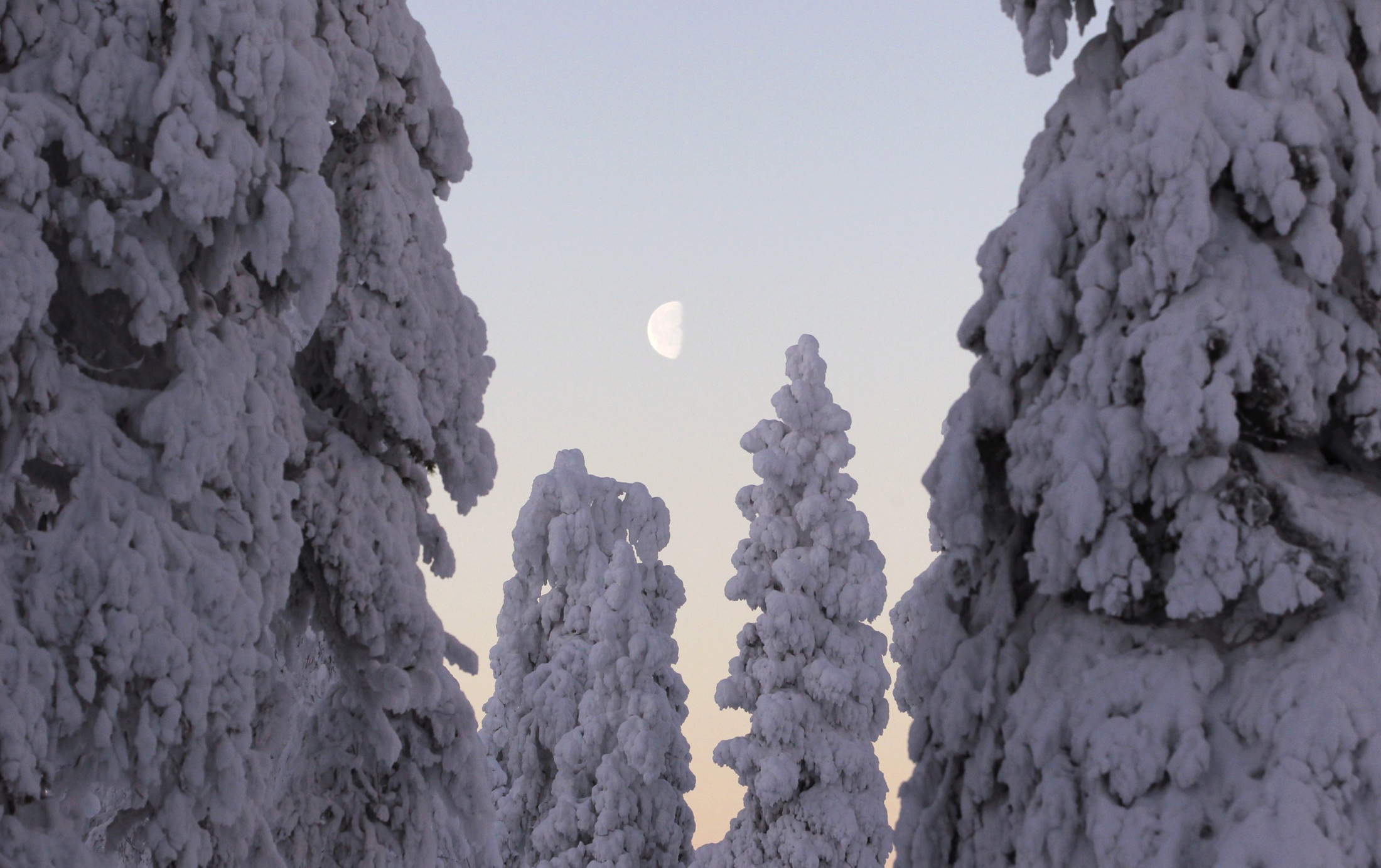Φινλανδία. ΦΩΤΟ REUTERS