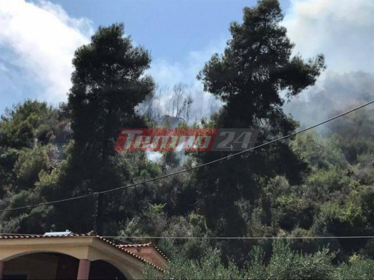 Μεγάλη φωτιά στην Αρηνή Ζαχάρως – Κινδύνευσε σπίτι | Newsit.gr Μεγάλη φωτιά στην Αρηνή Ζαχάρως – Κινδύνευσε σπίτι | Newsit.gr