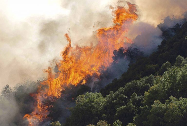 Υπό μερικό έλεγχο οι πυρκαγιές σε Ζάκυνθο και Κέρκυρα | Newsit.gr Υπό μερικό έλεγχο οι πυρκαγιές σε Ζάκυνθο και Κέρκυρα | Newsit.gr