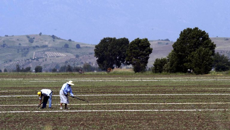 Πλήρωσε 1.000 ευρώ για να ξυλοκοπήσουν συγχωριανή του! | Newsit.gr Πλήρωσε 1.000 ευρώ για να ξυλοκοπήσουν συγχωριανή του! | Newsit.gr