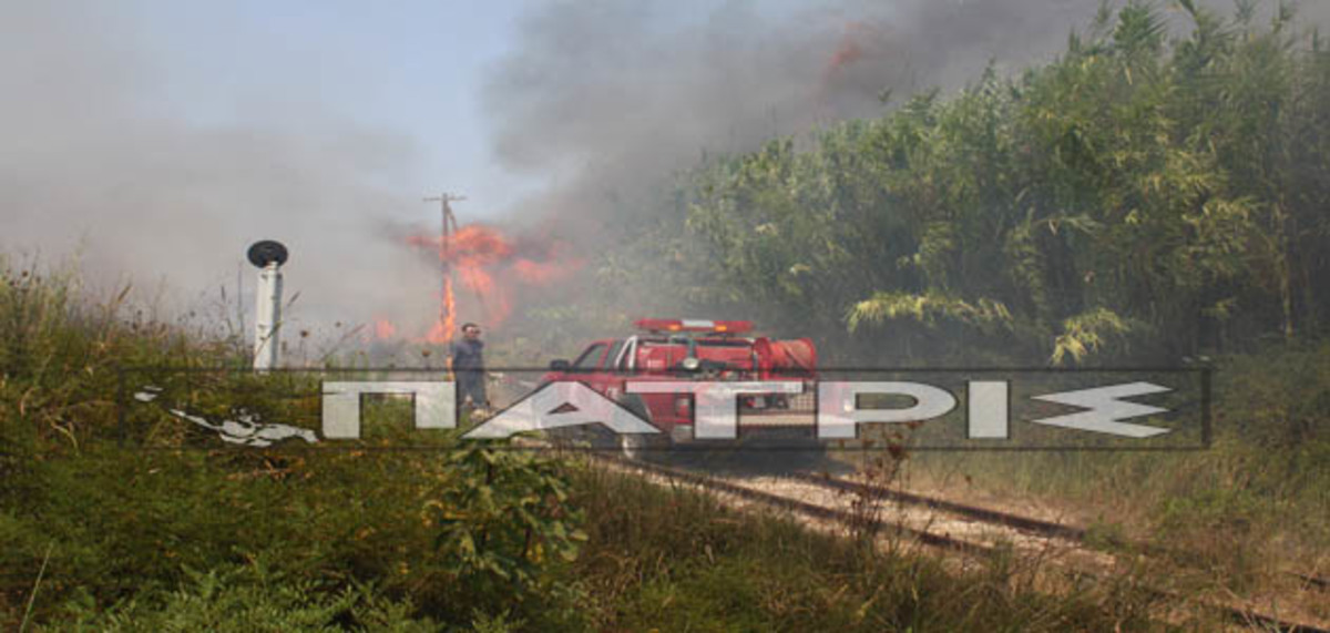 Ηλεία: Μεγάλη φωτιά έκανε στάχτη καταυλισμό τσιγγάνων – Δείτε βίντεο! | Newsit.gr Ηλεία: Μεγάλη φωτιά έκανε στάχτη καταυλισμό τσιγγάνων – Δείτε βίντεο! | Newsit.gr