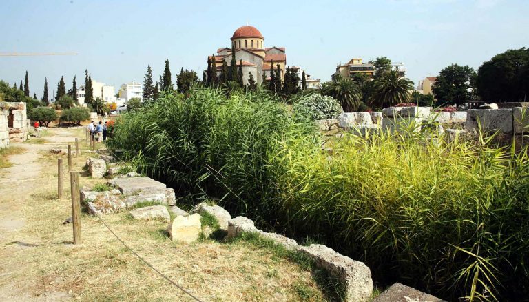 Πέλλα: Τραγωδία σε αρδευτικό κανάλι – »Έσβησε» γυναίκα οδηγός! | Newsit.gr Πέλλα: Τραγωδία σε αρδευτικό κανάλι – »Έσβησε» γυναίκα οδηγός! | Newsit.gr