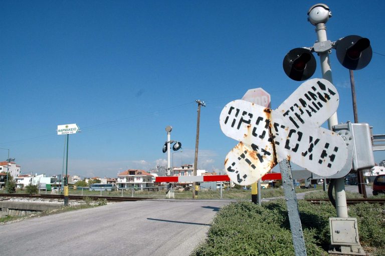 Πέλλα: Αμαξοστοιχία »θέρισε» 21 πρόβατα – Συνελήφθη ο βοσκός! | Newsit.gr Πέλλα: Αμαξοστοιχία »θέρισε» 21 πρόβατα – Συνελήφθη ο βοσκός! | Newsit.gr