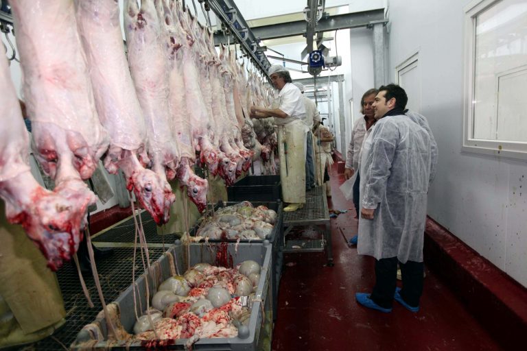 Έκλεισαν 9 σφαγεία για λόγους δημόσιας υγείας! | Newsit.gr Έκλεισαν 9 σφαγεία για λόγους δημόσιας υγείας! | Newsit.gr
