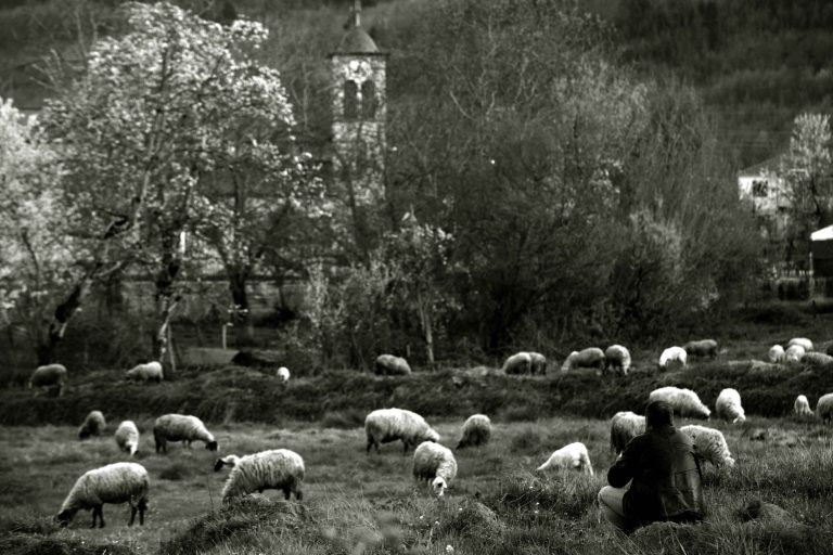 Κρήτη: Πυροβόλησαν κτηνοτρόφο που τους είδε να κλέβουν τα ζώα του! | Newsit.gr Κρήτη: Πυροβόλησαν κτηνοτρόφο που τους είδε να κλέβουν τα ζώα του! | Newsit.gr