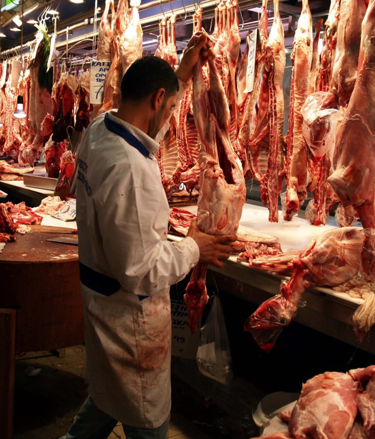 Μακεδονία: Εντατικοί έλεγχοι για ελληνοποιημένα αμνοερίφια! | Newsit.gr Μακεδονία: Εντατικοί έλεγχοι για ελληνοποιημένα αμνοερίφια! | Newsit.gr