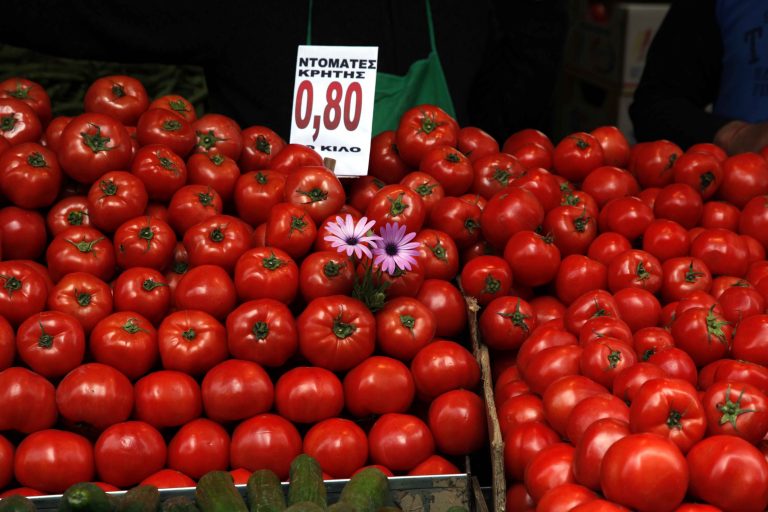 Τρία βασικά ζητήματα για την βιομηχανική ντομάτα | Newsit.gr Τρία βασικά ζητήματα για την βιομηχανική ντομάτα | Newsit.gr