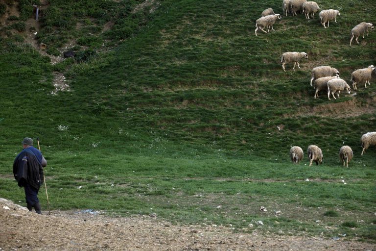 Κρήτη: Χειροπέδες σε βοσκό που χρωστούσε πάνω από 80.000€ στο δημόσιο! | Newsit.gr Κρήτη: Χειροπέδες σε βοσκό που χρωστούσε πάνω από 80.000€ στο δημόσιο! | Newsit.gr