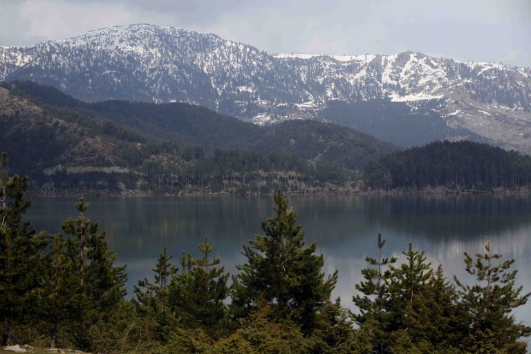 Λακωνία: »Στρατιωτικός νόμος» για την προστασία των δασών | Newsit.gr Λακωνία: »Στρατιωτικός νόμος» για την προστασία των δασών | Newsit.gr