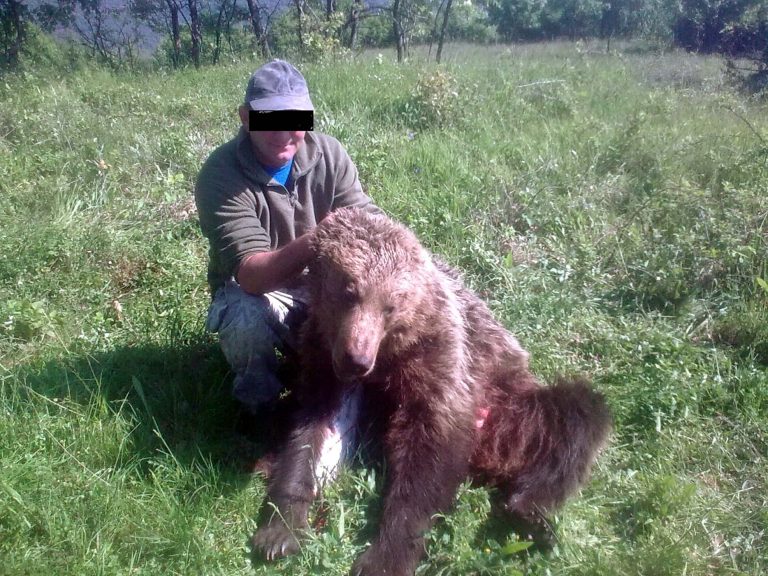 Βέροια: Η φωτογραφία της ντροπής – Πόζαρε με αρκούδα που σκότωσε! | Newsit.gr Βέροια: Η φωτογραφία της ντροπής – Πόζαρε με αρκούδα που σκότωσε! | Newsit.gr