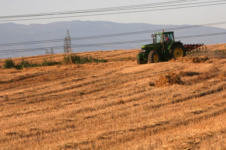 Ηλεία: Σκοτώθηκαν δύο αδέρφια, γονείς 11 παιδιών! | Newsit.gr Ηλεία: Σκοτώθηκαν δύο αδέρφια, γονείς 11 παιδιών! | Newsit.gr