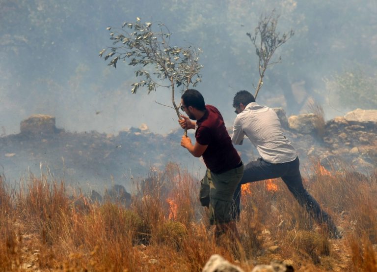 Πυρκαγιά σε εξέλιξη σε Ζάκυνθο, Φάρσαλα και Γιάννενα | Newsit.gr Πυρκαγιά σε εξέλιξη σε Ζάκυνθο, Φάρσαλα και Γιάννενα | Newsit.gr