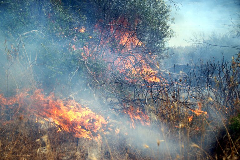 Πύρινα μέτωπα σε Αττική, Χίο, Πήλιο και Αχαϊα | Newsit.gr Πύρινα μέτωπα σε Αττική, Χίο, Πήλιο και Αχαϊα | Newsit.gr
