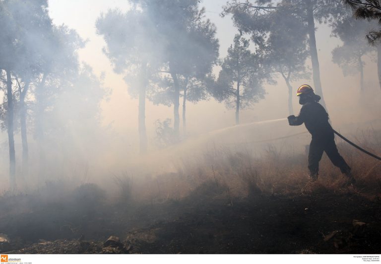 Δράμα: Σε εξέλιξη δασική φωτιά | Newsit.gr Δράμα: Σε εξέλιξη δασική φωτιά | Newsit.gr