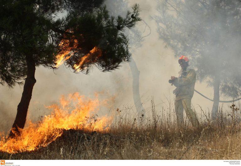 Μακεδονία: Σβήνει η μία, ανάβει η άλλη – Νέα πυρκαγιά στη Χαλκιδική! | Newsit.gr Μακεδονία: Σβήνει η μία, ανάβει η άλλη – Νέα πυρκαγιά στη Χαλκιδική! | Newsit.gr