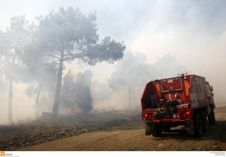Εύβοια: Σε εξέλιξη μεγάλη φωτιά στην Ιστιαία – Στάχτη 500 στρέμματα δάσους! | Newsit.gr Εύβοια: Σε εξέλιξη μεγάλη φωτιά στην Ιστιαία – Στάχτη 500 στρέμματα δάσους! | Newsit.gr