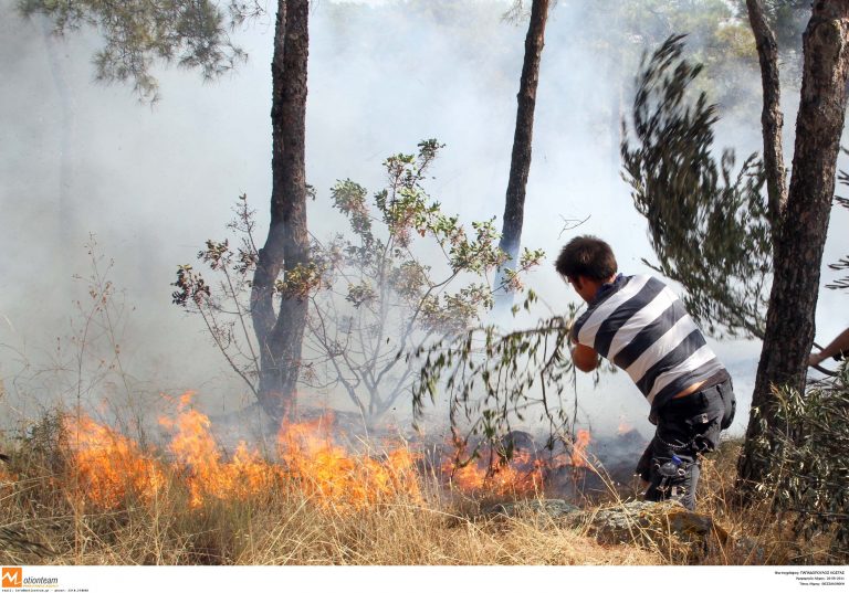 Σε εξέλιξη μεγάλη δασική πυρκαγιά στα Γιάννενα | Newsit.gr Σε εξέλιξη μεγάλη δασική πυρκαγιά στα Γιάννενα | Newsit.gr