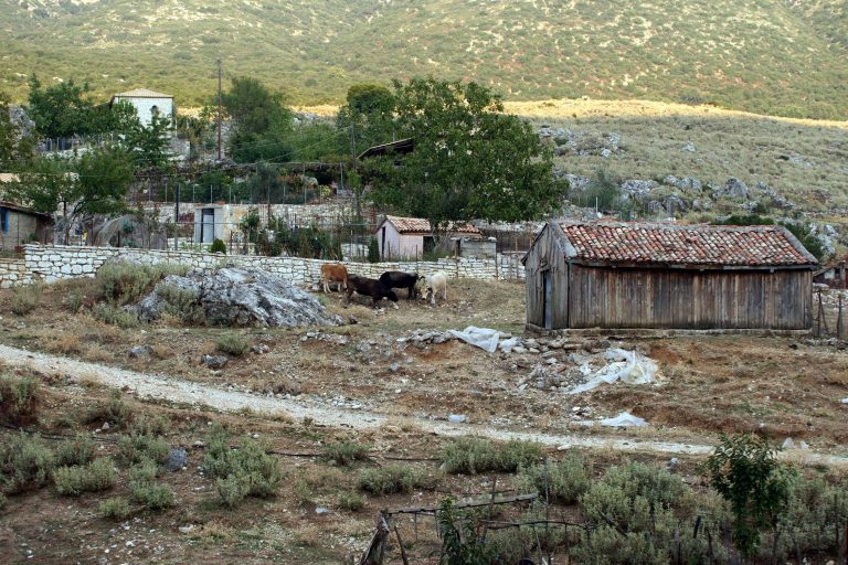 Φθιώτιδα: Άνοιξαν την πόρτα της στάνης και βρήκαν το παιδί τους νεκρό! | Newsit.gr Φθιώτιδα: Άνοιξαν την πόρτα της στάνης και βρήκαν το παιδί τους νεκρό! | Newsit.gr