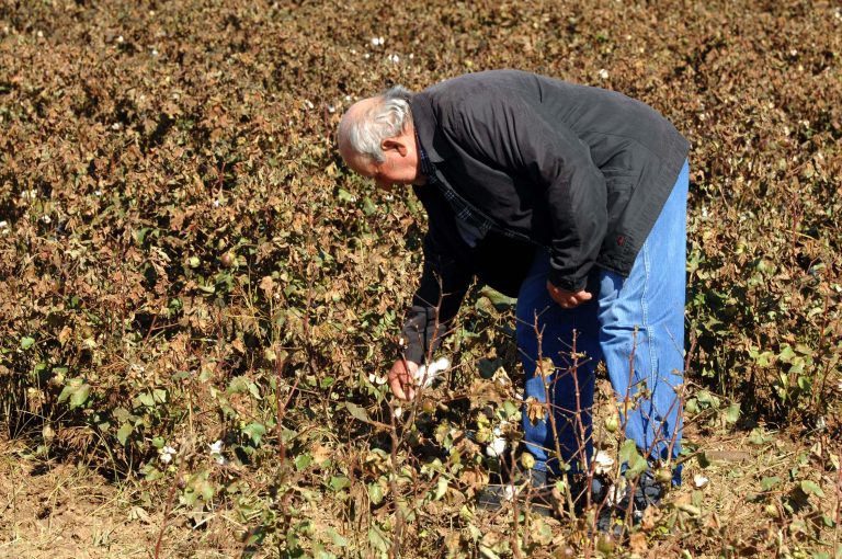 Ηλεία: Αγρότης σε πανικό – Το σκάψιμο τελείωσε απότομα! | Newsit.gr Ηλεία: Αγρότης σε πανικό – Το σκάψιμο τελείωσε απότομα! | Newsit.gr