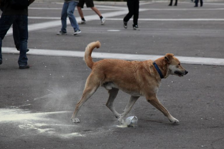 O Λουκάνικος μίλησε στην Huffinghton Post | Newsit.gr O Λουκάνικος μίλησε στην Huffinghton Post | Newsit.gr