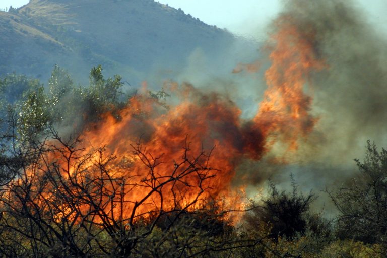 Αργολίδα: Σε εξέλιξη για 2η μέρα η φωτιά στα Λευκάκια! | Newsit.gr Αργολίδα: Σε εξέλιξη για 2η μέρα η φωτιά στα Λευκάκια! | Newsit.gr