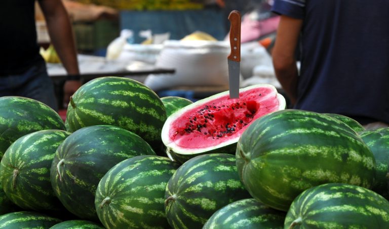 Ηλεία: »Ανάσταση» στα χρόνια της κρίσης – Χαμογελούν οι καρπουζοπαραγωγοί! | Newsit.gr Ηλεία: »Ανάσταση» στα χρόνια της κρίσης – Χαμογελούν οι καρπουζοπαραγωγοί! | Newsit.gr