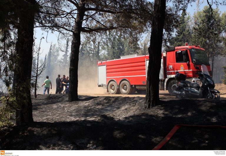 Σαλαμινα: Μεγάλη φωτιά έκαψε σπίτια και αυτοκίνητα! | Newsit.gr Σαλαμινα: Μεγάλη φωτιά έκαψε σπίτια και αυτοκίνητα! | Newsit.gr