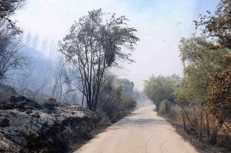 Χανιά: Καμένα σπίτια, καλλιέργειες και ζώα άφησε πίσω η φωτιά στην Κίσσαμο! | Newsit.gr Χανιά: Καμένα σπίτια, καλλιέργειες και ζώα άφησε πίσω η φωτιά στην Κίσσαμο! | Newsit.gr